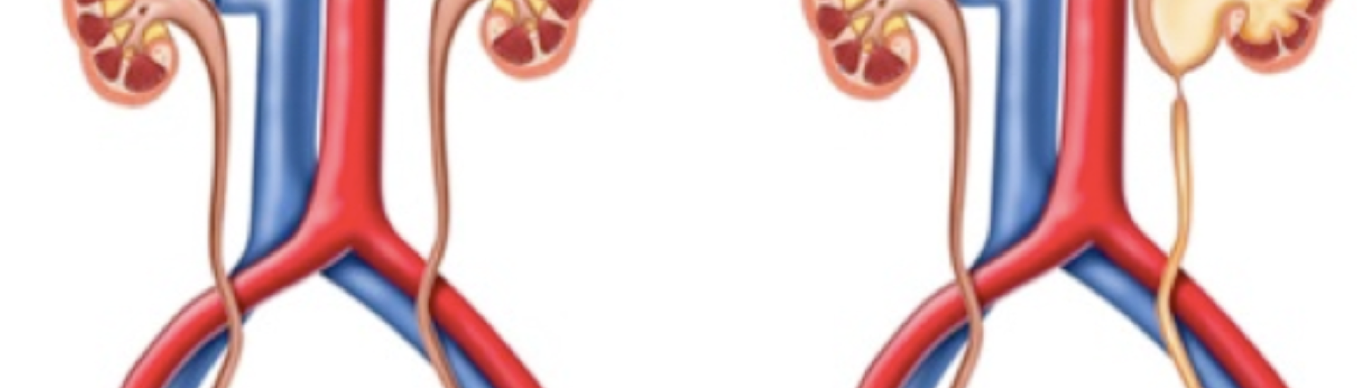 Captura de Tela 2026-01-11 às 20.45.44